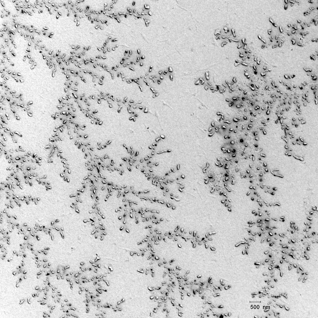 Monodisperse colloidal solutions of nanoparticles: Metals, semiconductors, polymers optical crystals, ceramics, etc.