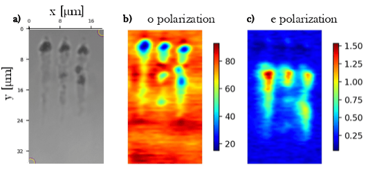 Figure 1: a) Optical image of micro-processed area inside a BBO crystal. b) SHG map obtained with laser in ordinary polarization. c) SHG map obtained with extrordinary polarization of the measuring laser beam.